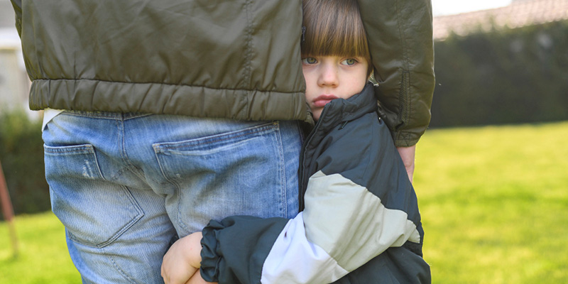 Temporary Child Custody Forms & Guardianship Agreement Templates