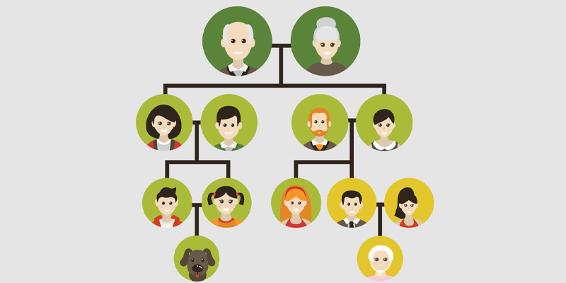 Probate Without a Will: The Legal Procedure When Someone Dies Without Estate Planning